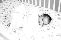 Lucy - Newborn