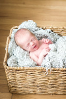 Timothy - newborn