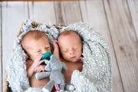 Hasuly Twins - newborn