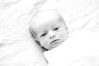 Grant - newborn