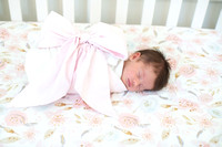 Annelise - newborn
