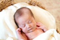 Katherine - newborn