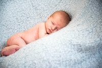 Daniel Anders - newborn
